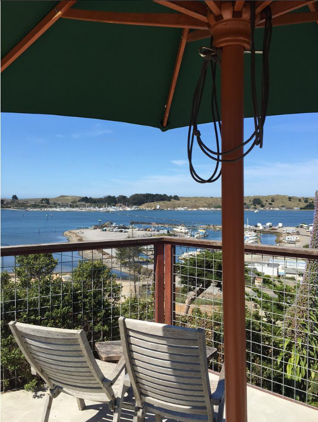 Patio chairs under a green umbrella looking over Bodega Bay